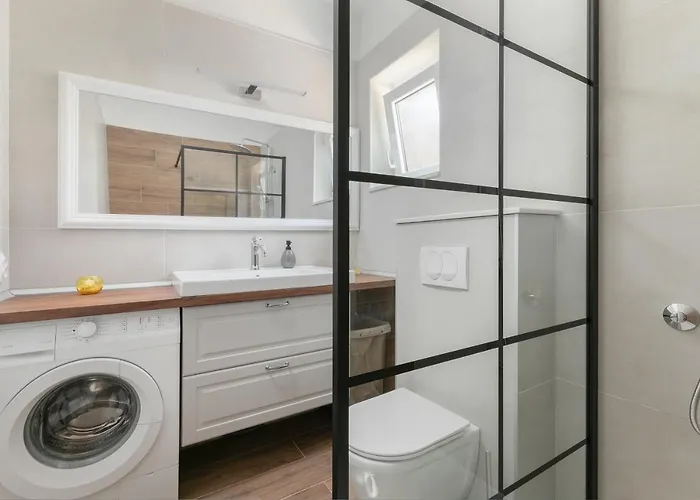 Ana Boric ポドゥゴラ