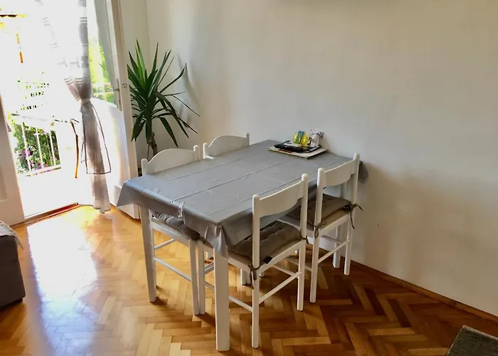 Ana Boric * ポドゥゴラ