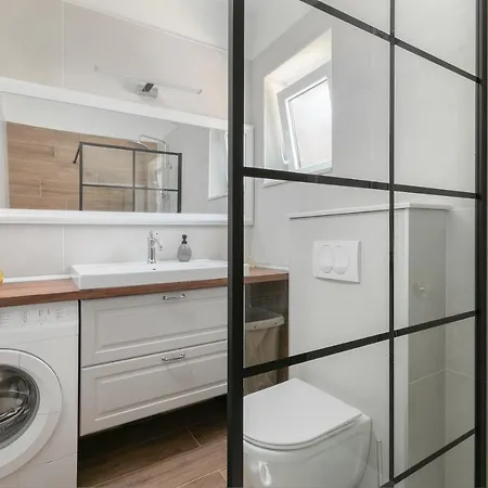 Ana Boric بودغورا